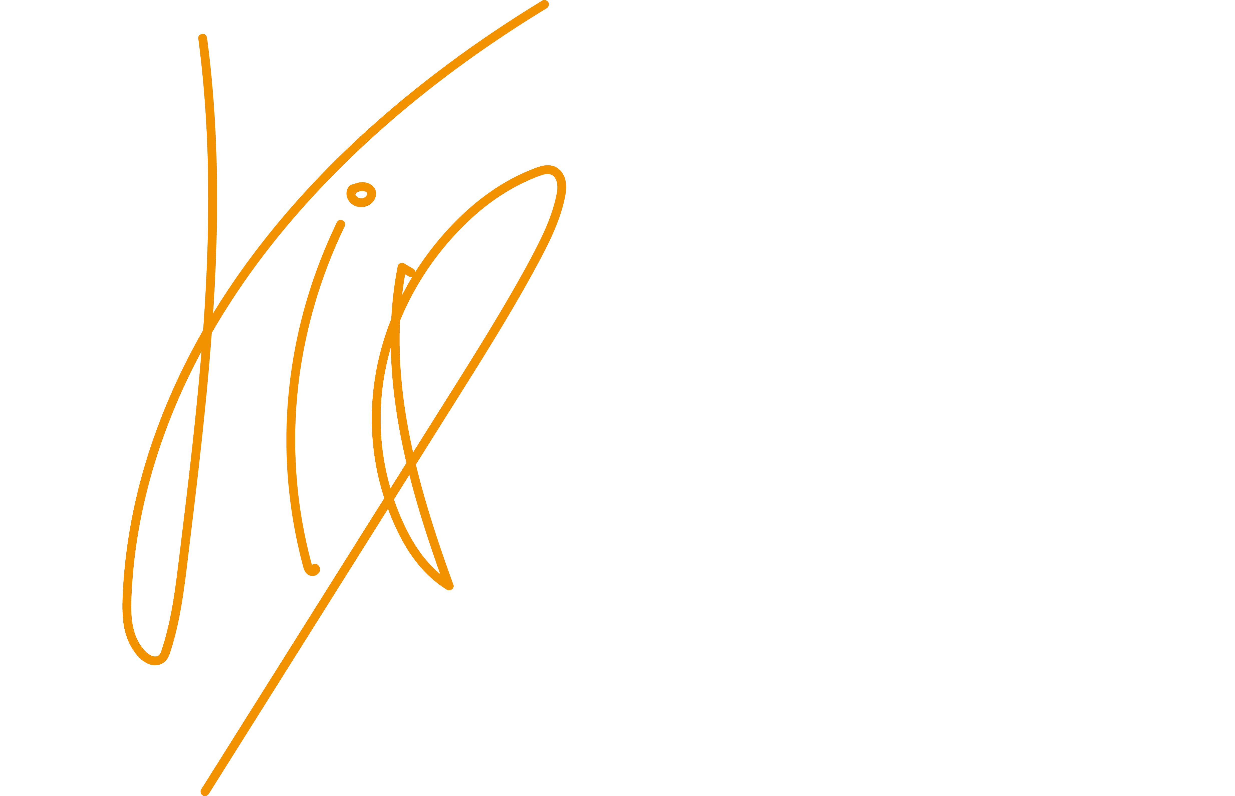 Liga Particular VIP Logo