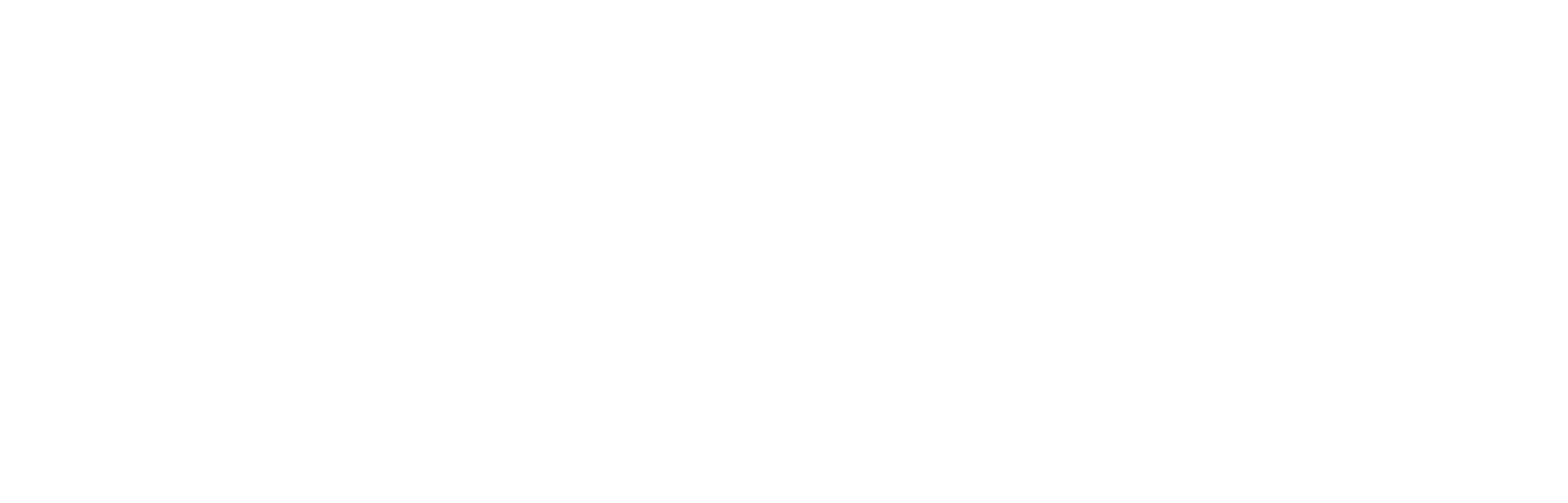 Liga Particular Logo